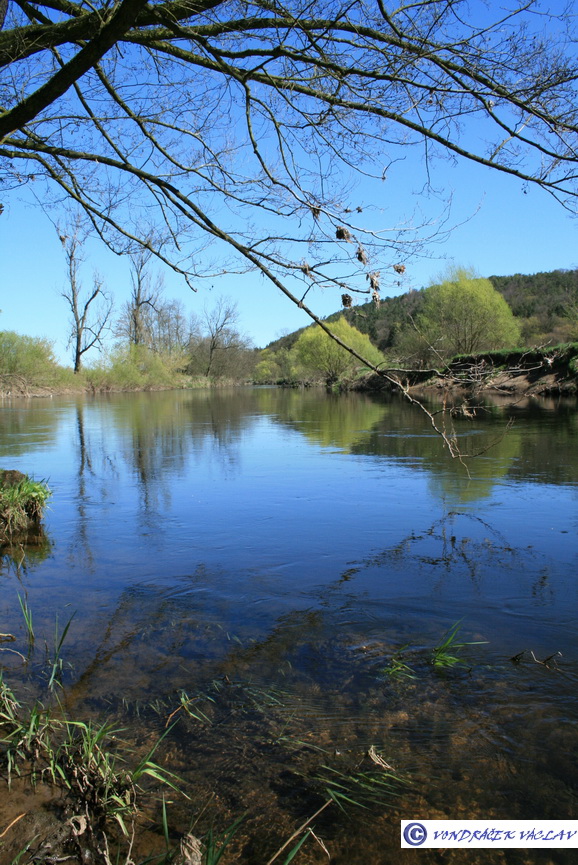 jizera